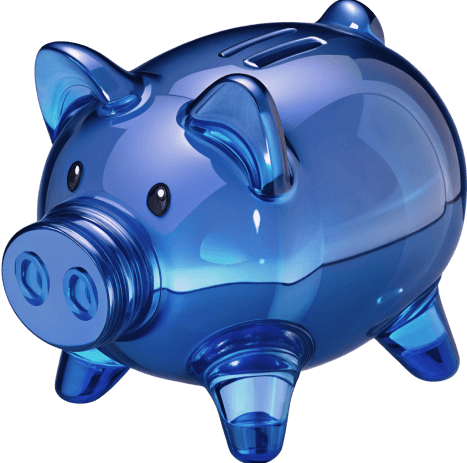 <span>Bug bounty program</span>
